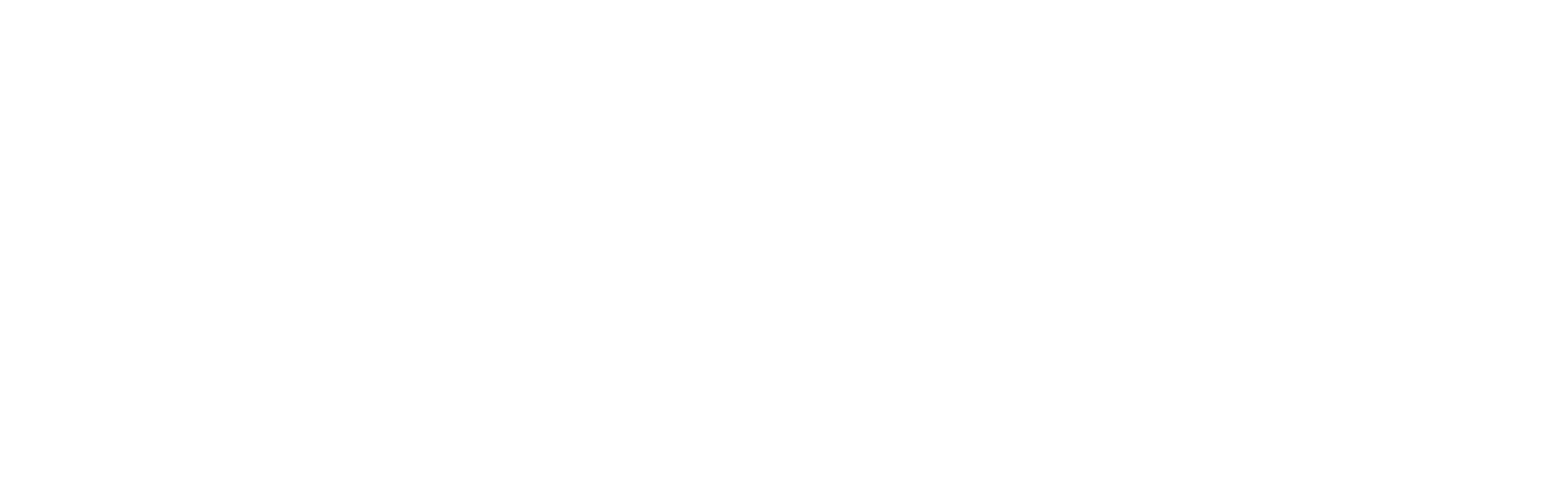 SBimpianti logo
